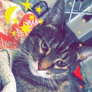 Meet your Posher, Danny